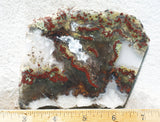 King Cobra Slab 213