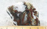 King Cobra Slab 222