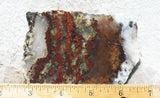 King Cobra Slab 225