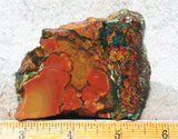 King Cobra Slab 227