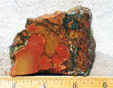 King Cobra Slab 227
