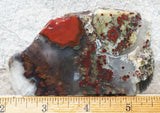 King Cobra Slab 239