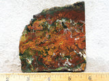 King Cobra Slab 211