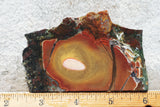 King Cobra Slab 248