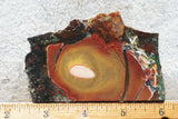 King Cobra Slab 248