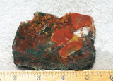 King Cobra Slab 246