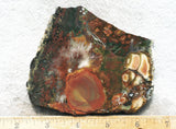 King Cobra Slab 229