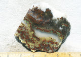 King Cobra Slab 243