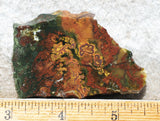 King Cobra Slab 223