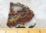 King Cobra Slab 247
