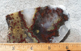 King Cobra Slab 245