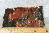 King Cobra Slab 241