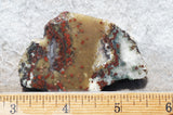 King Cobra Slab 250