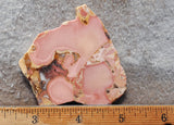 King Cobra Slab 217
