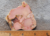 King Cobra Slab 217
