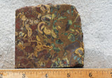 Fruit Jasper Slab 263