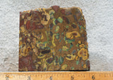 Fruit Jasper Slab 262
