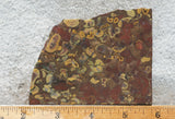 Bargain Bin F Slab 191