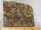 Fruit Jasper Slab 261