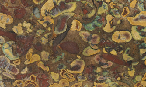 Fruit Jasper Slab 261
