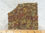 Fruit Jasper Slab 259