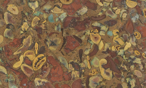Fruit Jasper Slab 259