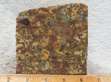 Fruit Jasper Slab 258