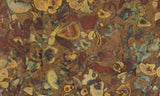 Fruit Jasper Slab 258