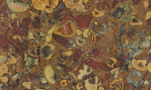 Fruit Jasper Slab 258