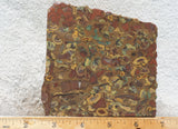 Fruit Jasper Slab 257