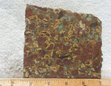 Fruit Jasper Slab 256