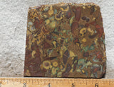 Fruit Jasper Slab 264
