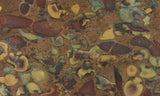 Fruit Jasper Slab 264