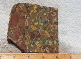 Fruit Jasper Slab 265