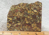Fruit Jasper Slab 254