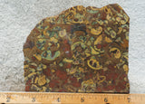 Fruit Jasper Slab 253