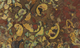 Fruit Jasper Slab 253