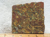 Fruit Jasper Slab 252