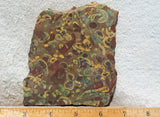 Fruit Jasper Slab 243