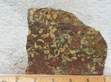 Fruit Jasper Slab 266