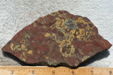 Fruit Jasper Slab 267