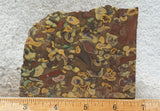 Fruit Jasper Slab 268