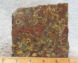 Fruit Jasper Slab 251