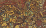 Fruit Jasper Slab 251