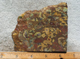Fruit Jasper Slab 270
