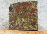 Fruit Jasper Slab 271