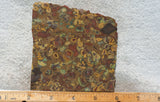 Fruit Jasper Slab 250