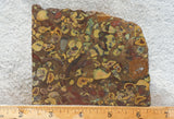 Fruit Jasper Slab 249