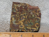 Fruit Jasper Slab 269