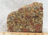 Fruit Jasper Slab 246